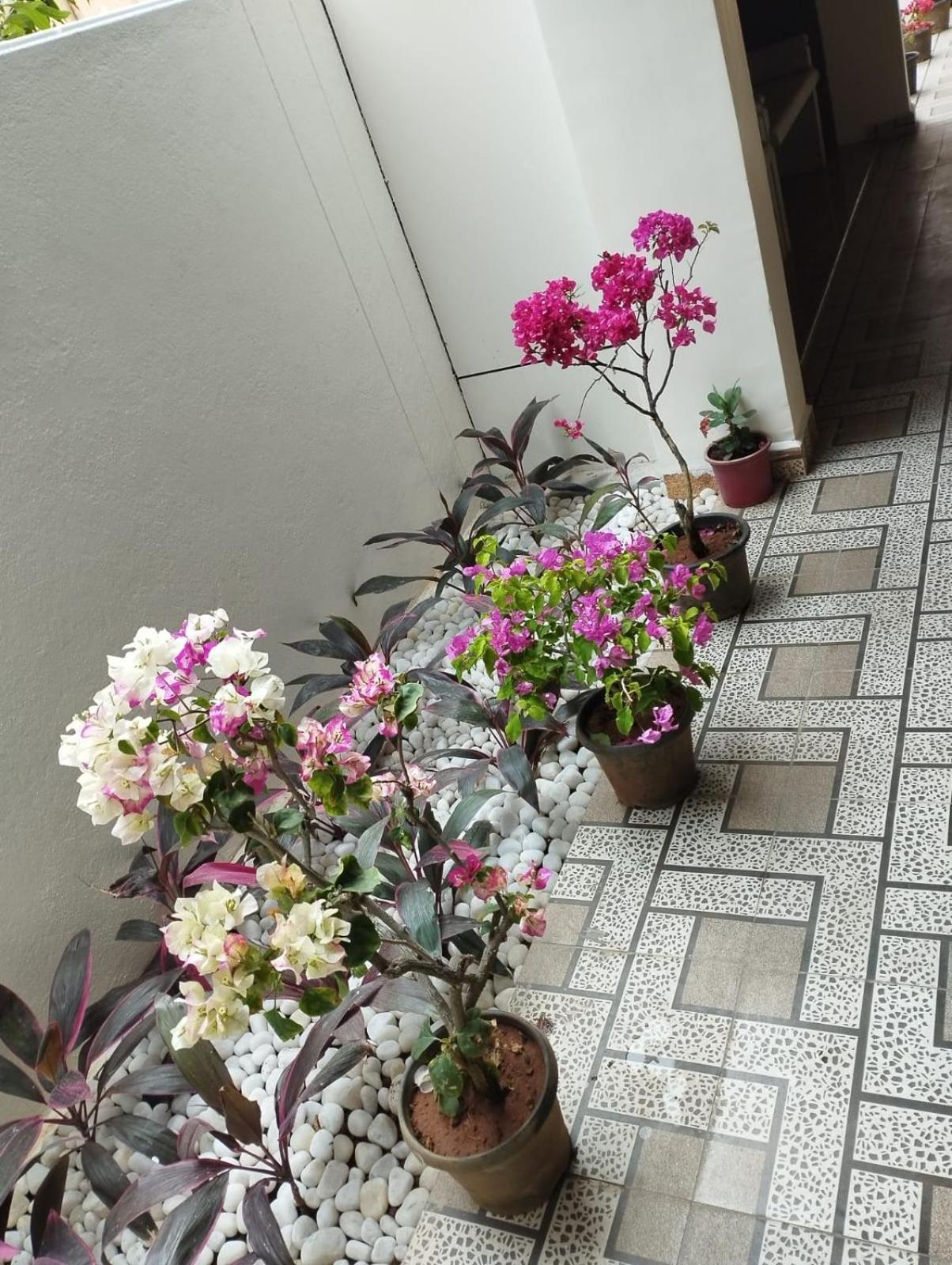 Hotel Annai Residency à Vellore Extérieur photo