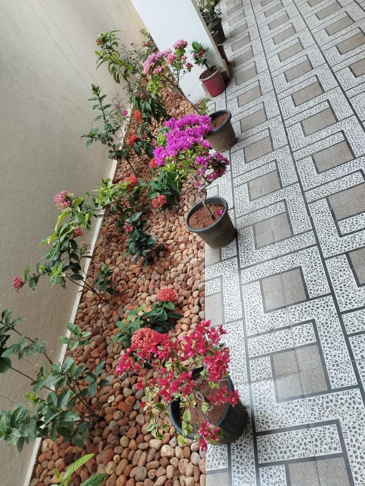 Hotel Annai Residency à Vellore Extérieur photo